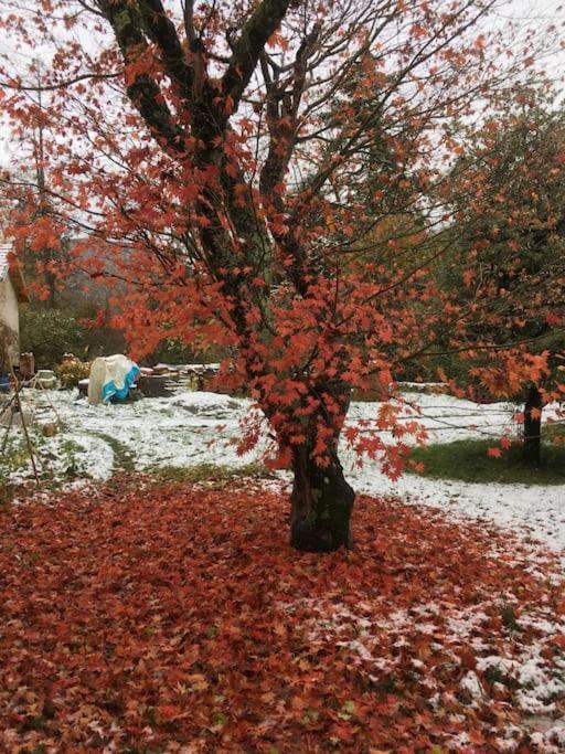 Arbon Lerable Pourpre De La Grotte Au Lion 빌라 외부 사진